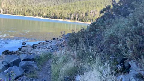 Central Oregon – Paulina Lake “Grand Loop” – This Section Smells Like the Oregon Coast