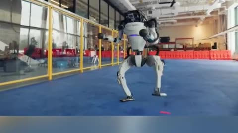 Tesla Humanoid Robots