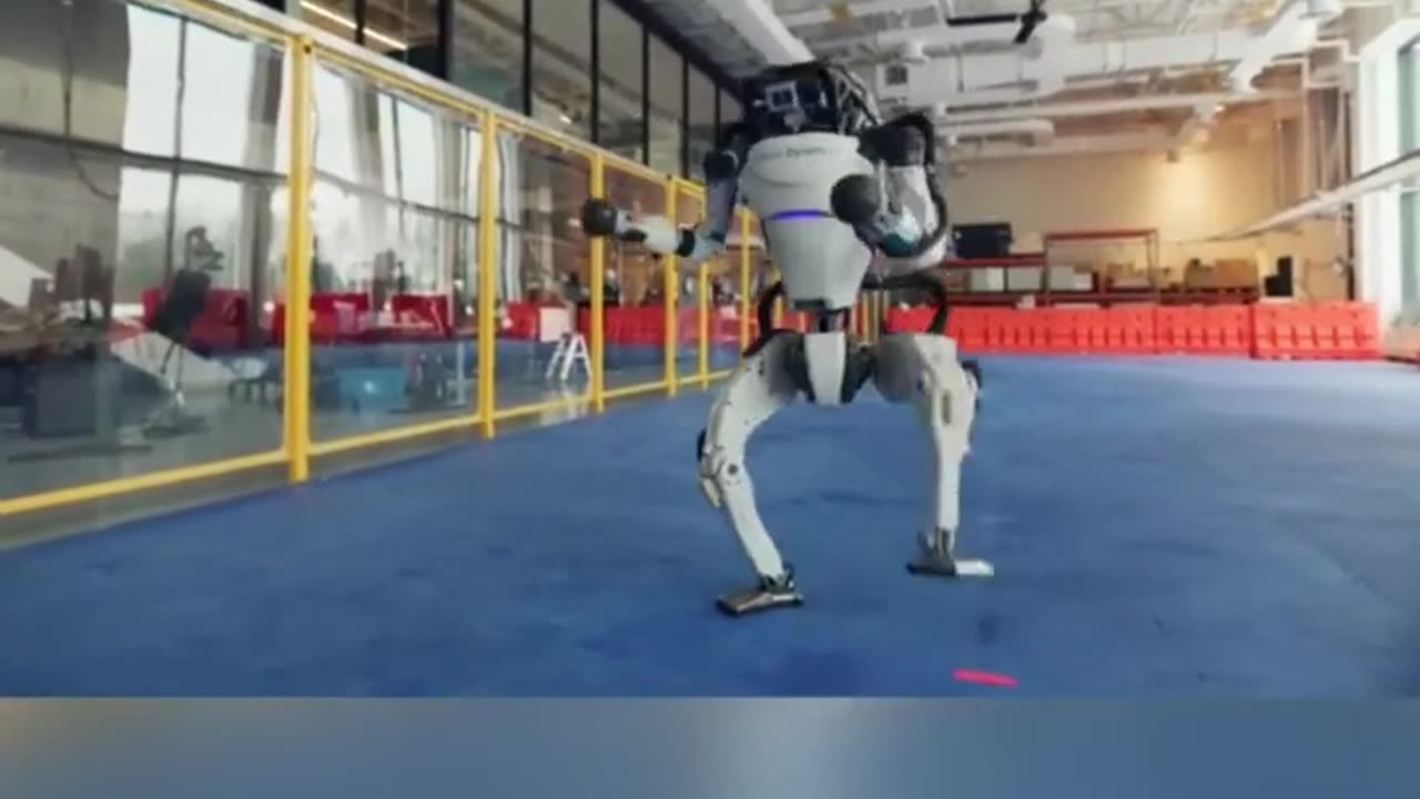 Tesla Humanoid Robots