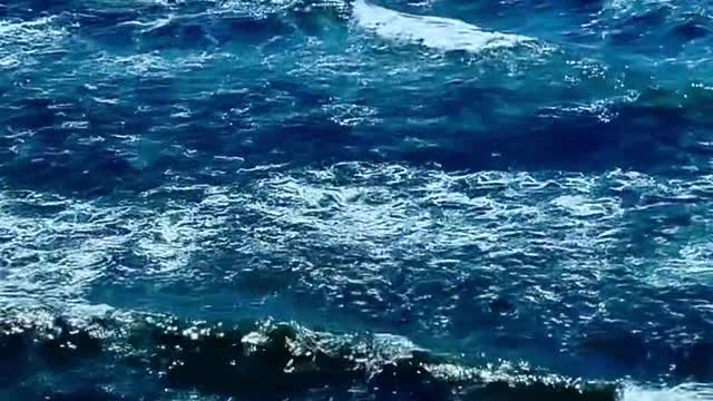 Take you to see the sea
