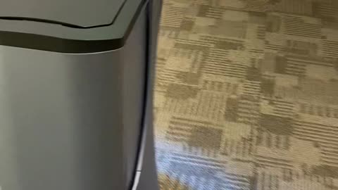 Employee Meets the 'Lunch Bot'