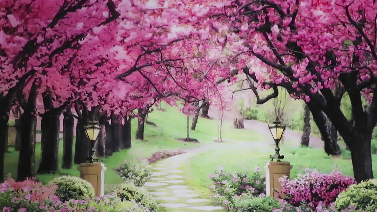 "Cherry Blossoms Lullaby" (calming music lullaby)