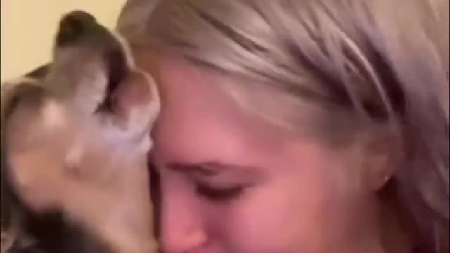 Play happily with the puppy