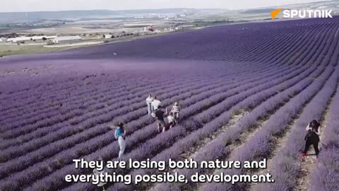 Ukraine’s President Zelensky tries to prove that he knows “what is happening in Crimea”