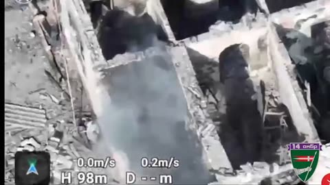 Ukrainian Drone Catches Russians Off Guard