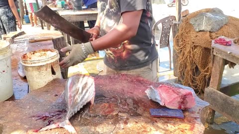 Amazing Fish Cutting Skills (2)