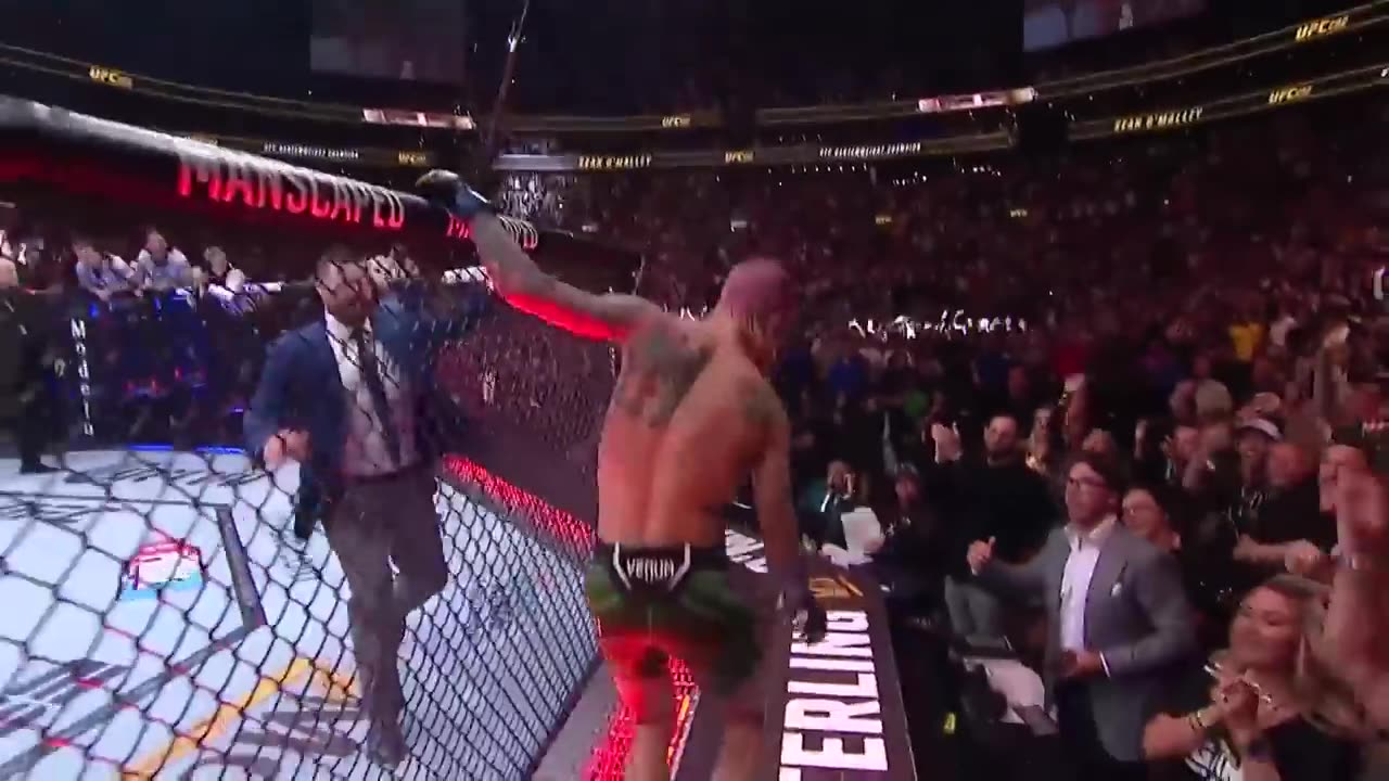 Sean O’Malley KOs Aljamain Sterling at UFC 292