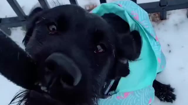 Middle name is Trouble