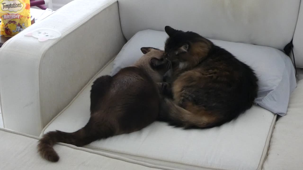 Pecking Order Has Been Re-Established