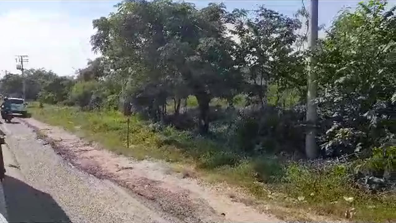 Con quemas y machetes invaden gigantesco lote en Mamonal