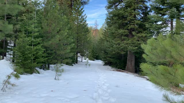 Trail Perspective of Ochoco Way Loop – Bandit Springs Sno-Park – Central Oregon – 4K