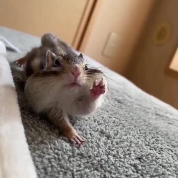 Honestly I can’t go to school I am sick 🤣🤣