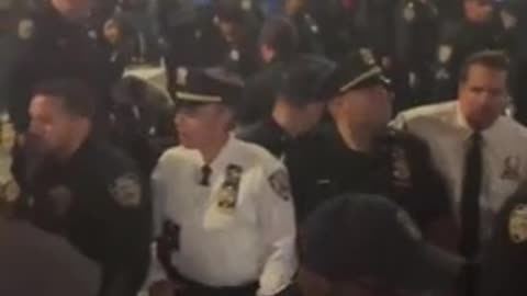 Massive Brawl in NYC - Pro-Palestinian Protesters Clash with Police in New York City