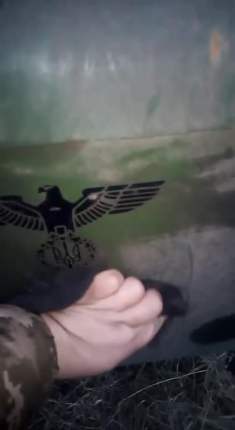Ukrainian tank decorated with a III Reich Nazi eagle