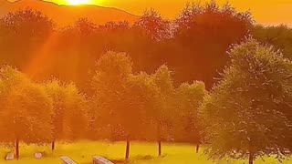 Relaxing Music 24/7, Sleep Music, Stress Relief Music, Spa, Meditation, Yoga, Zen, Sleeping Music🔴