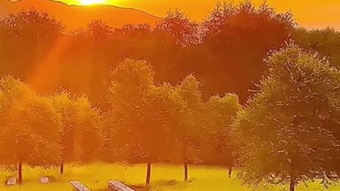 Relaxing Music 24/7, Sleep Music, Stress Relief Music, Spa, Meditation, Yoga, Zen, Sleeping Music🔴