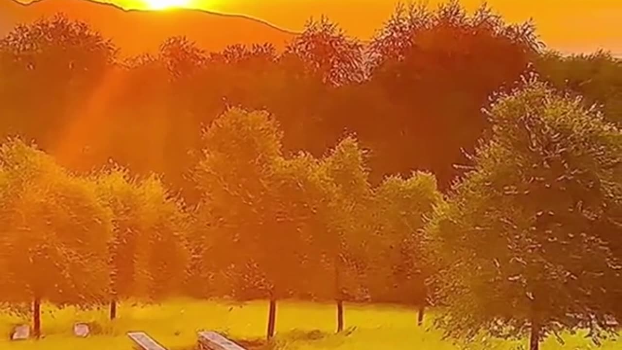 Relaxing Music 24/7, Sleep Music, Stress Relief Music, Spa, Meditation, Yoga, Zen, Sleeping Music🔴
