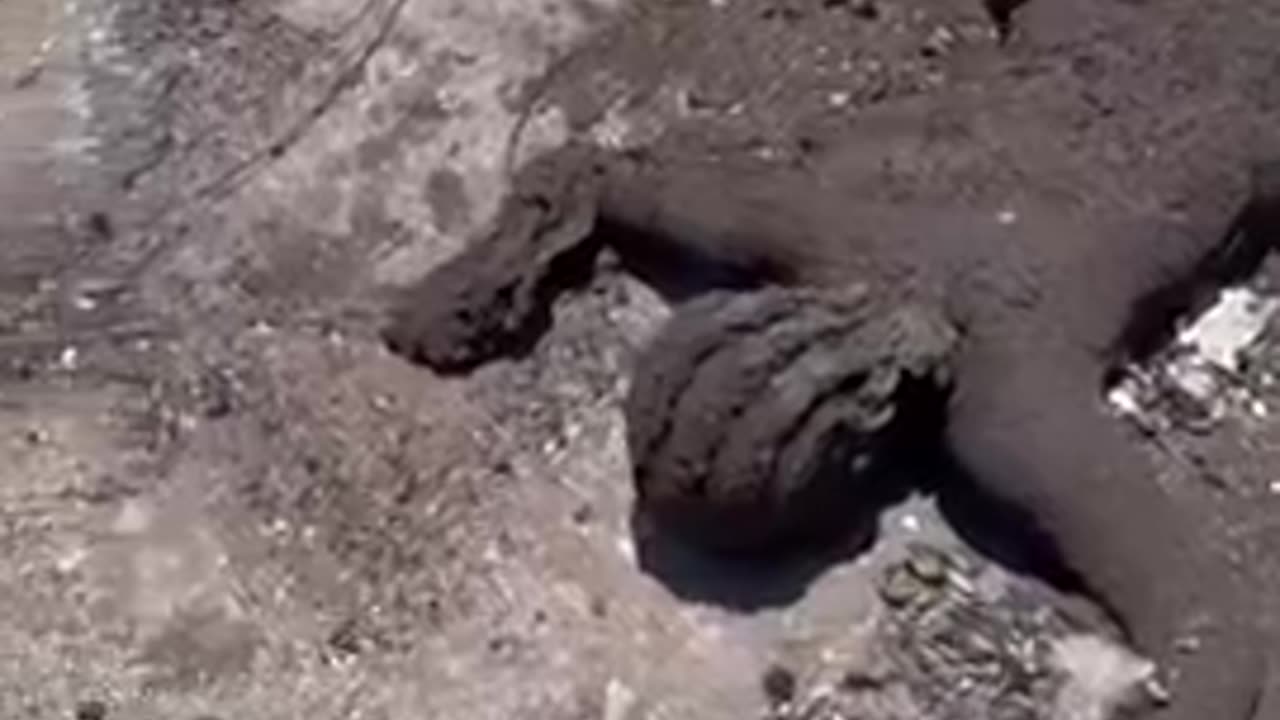 DIRECTED ENERGY WEAPONS AFTERMATH, MAUI