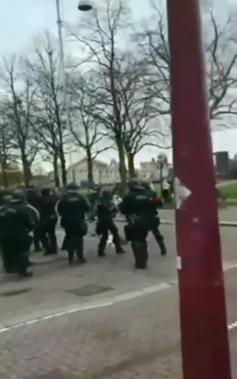 The World Without Donald Trump - Global Reunited