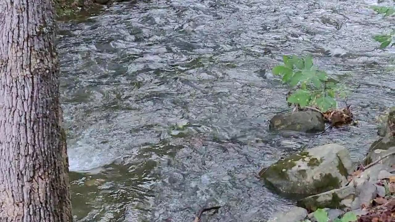 Gatlinburg Cabin view second day when the water was close to normal #rvlife #rv #glamping48