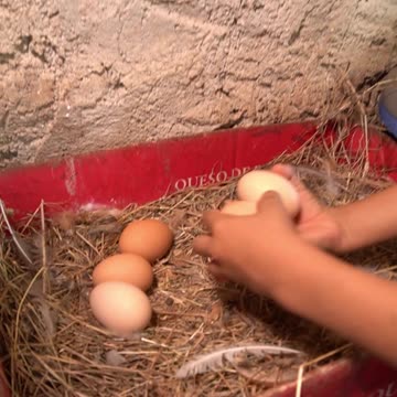 8 years learns to survive in the wild.