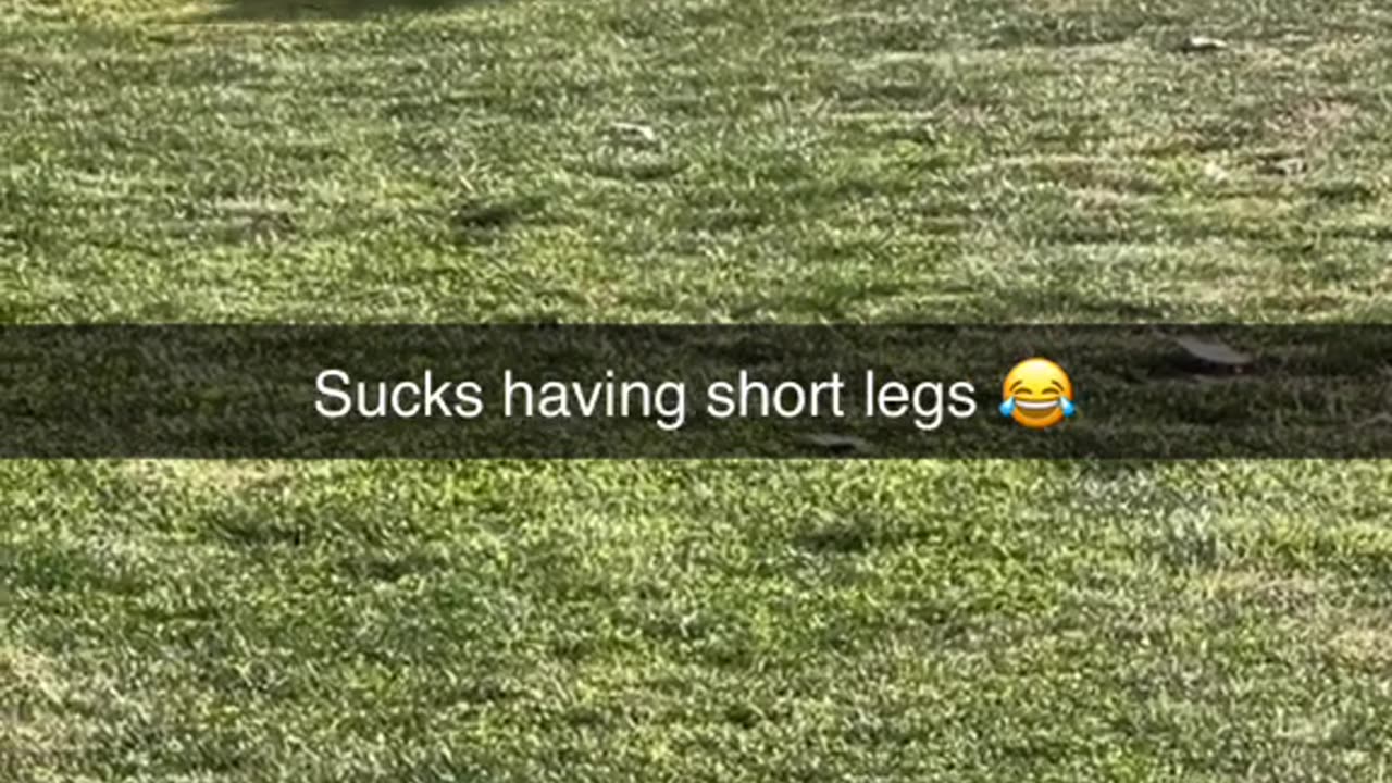 Sucks having short legs