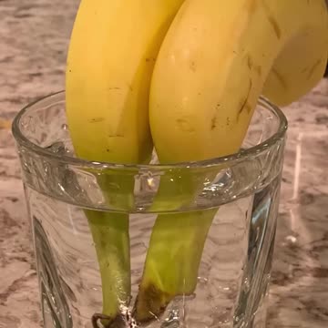 How to Keep Bananas Fresh Longer ?