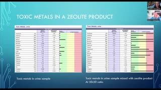 Plaquex And Zeolite Dangers – Conversation with Professor Anita Baxas