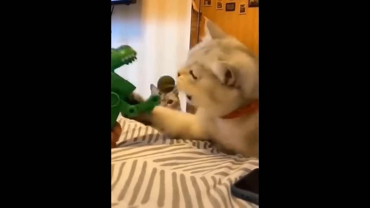 funny cat and dog videos 🤣 part 1# 2022