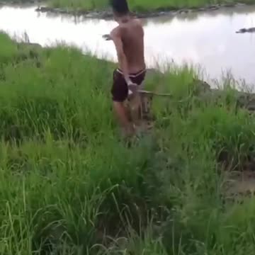 Reaching into the cave to catch fish and the end...