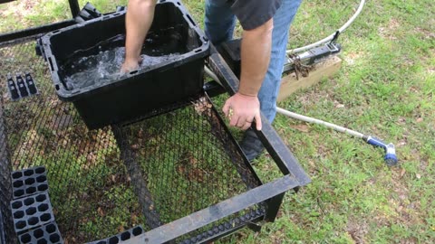 clean your trays