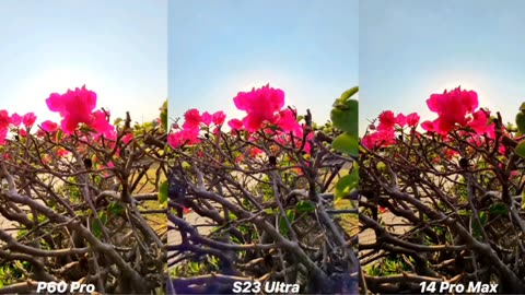 Iphone 14 pro max vs samsung S23 ultra vs huawei p60 pro : Camera Test