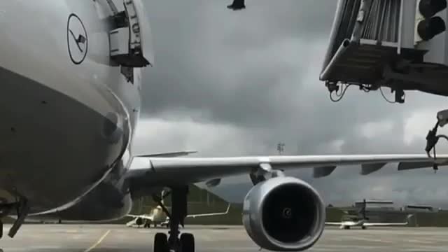 Amazing Parkour in the Aeroplane