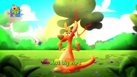 Kangaroo - Toyor Baby English