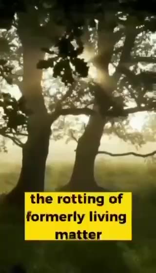 Are you being lied to?