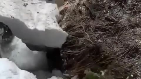 THAT WAS CLOSE 😱😱😱