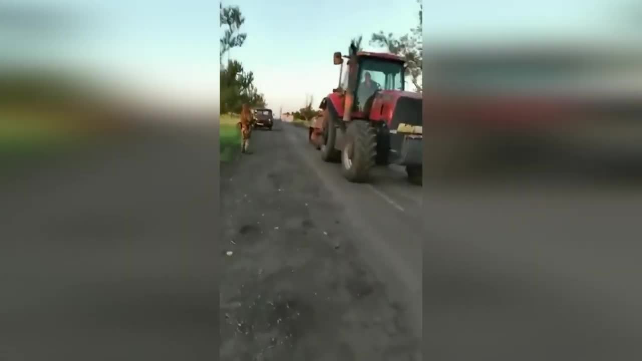 Ukrainian Tractor Brigade on duty