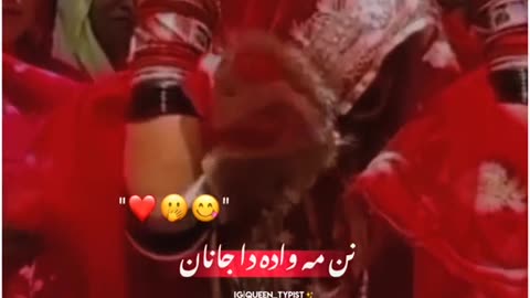 Pashto song vedio