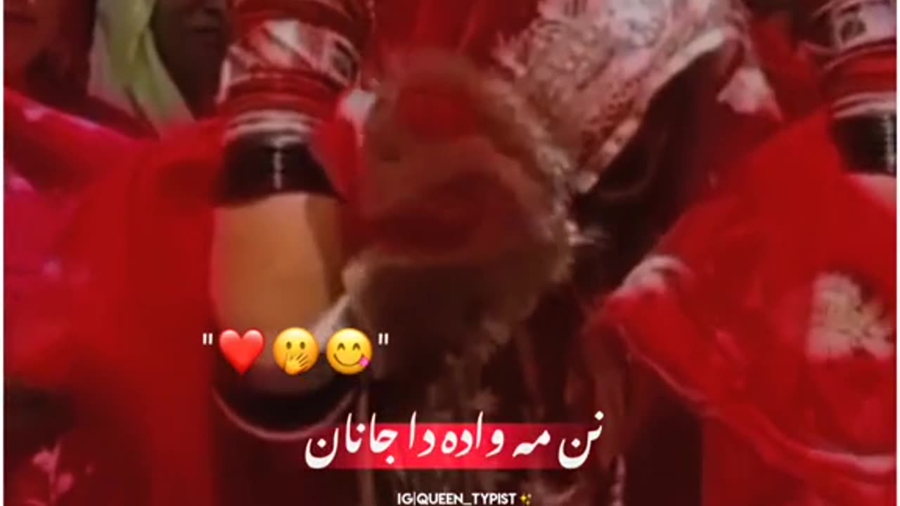 Pashto song vedio