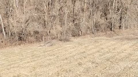 Do you see something