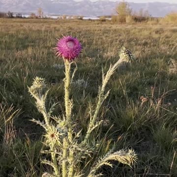 Beautiful Calm Sunset ☀️