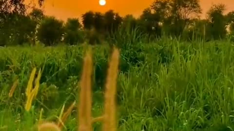 Beautiful village video