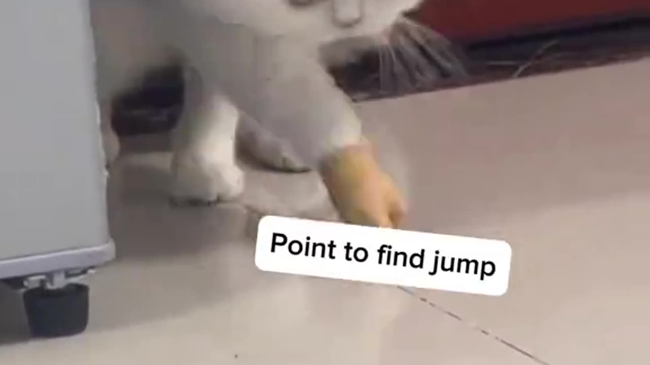 Point to find the jump