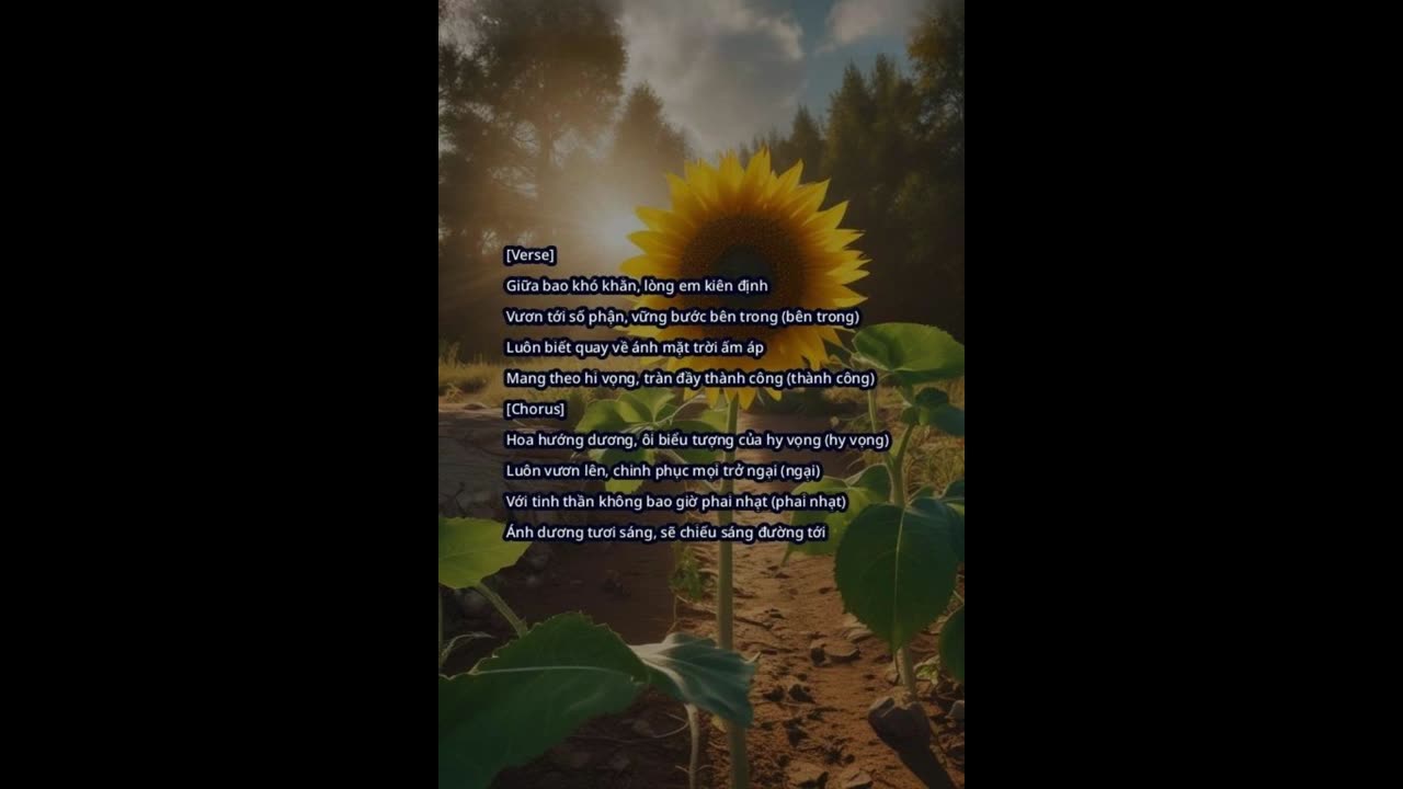 Ánh Dương Tươi Sáng