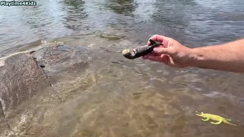 Sea animals toys with ashraf at the shore