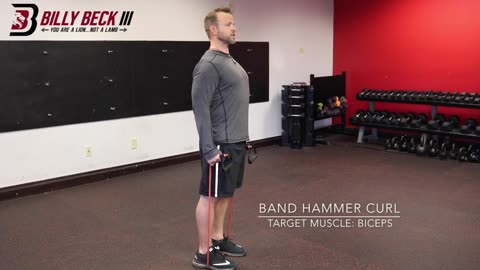 Band Hammer Curl