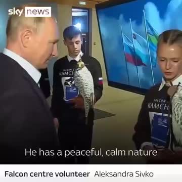 "The Storm" - Russian Special Operations Task Group