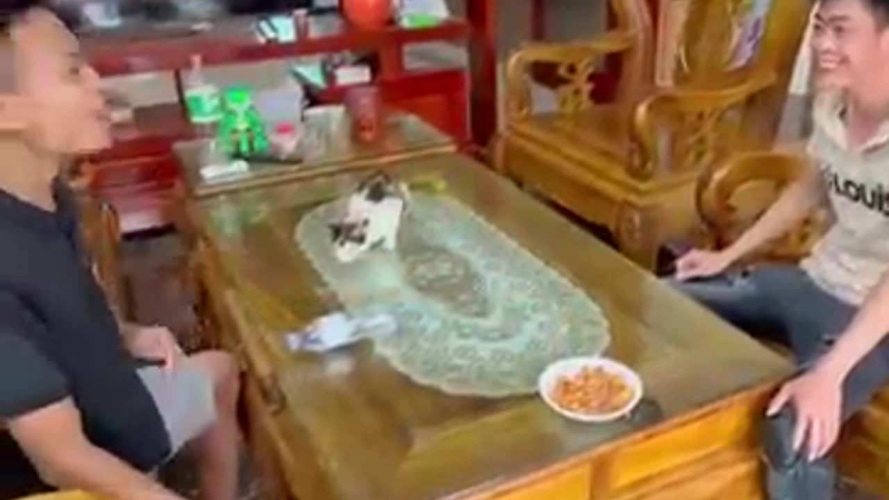 I fed
