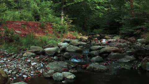 Nature - River - HD Video