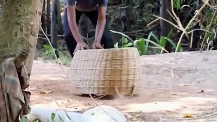FUNNY VIDEO